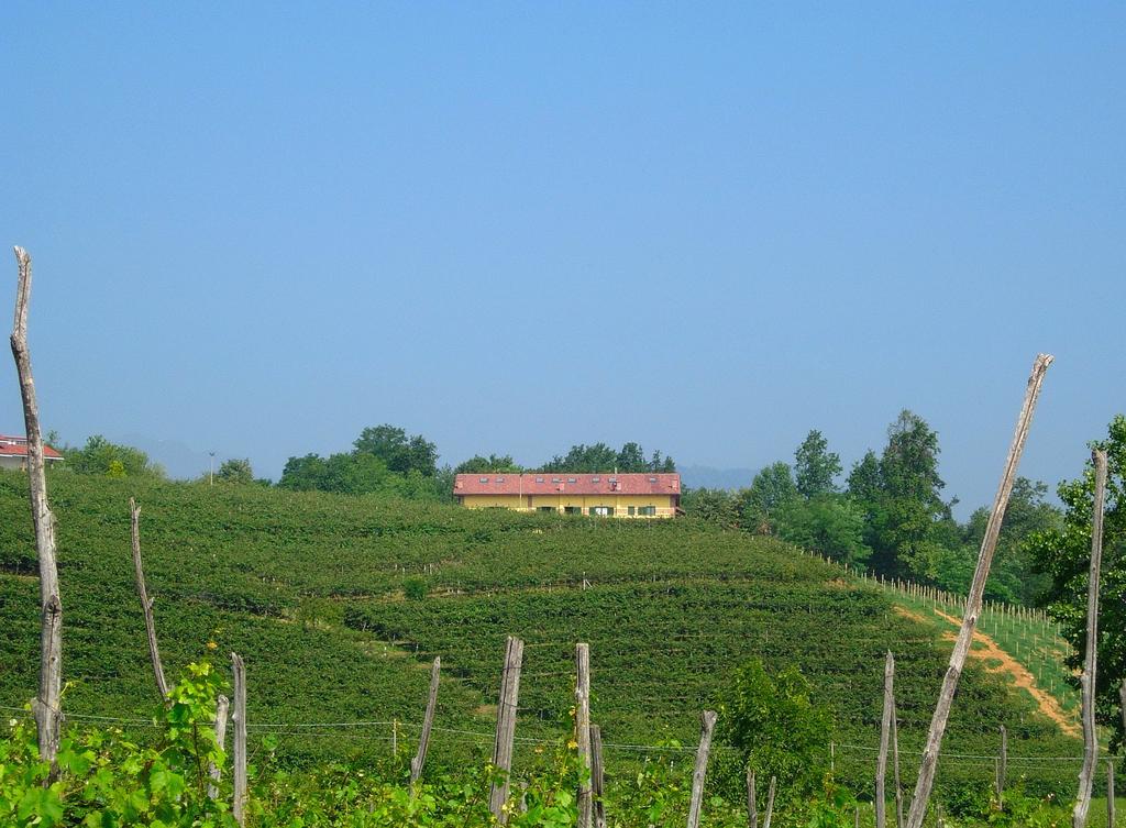 Agriturismo Turina Bricherasio エクステリア 写真