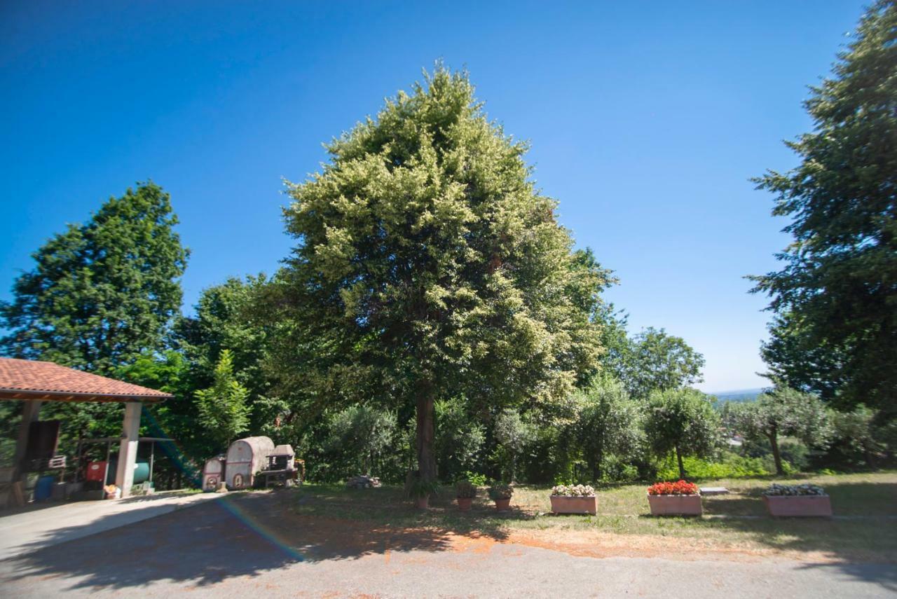 Agriturismo Turina Bricherasio エクステリア 写真