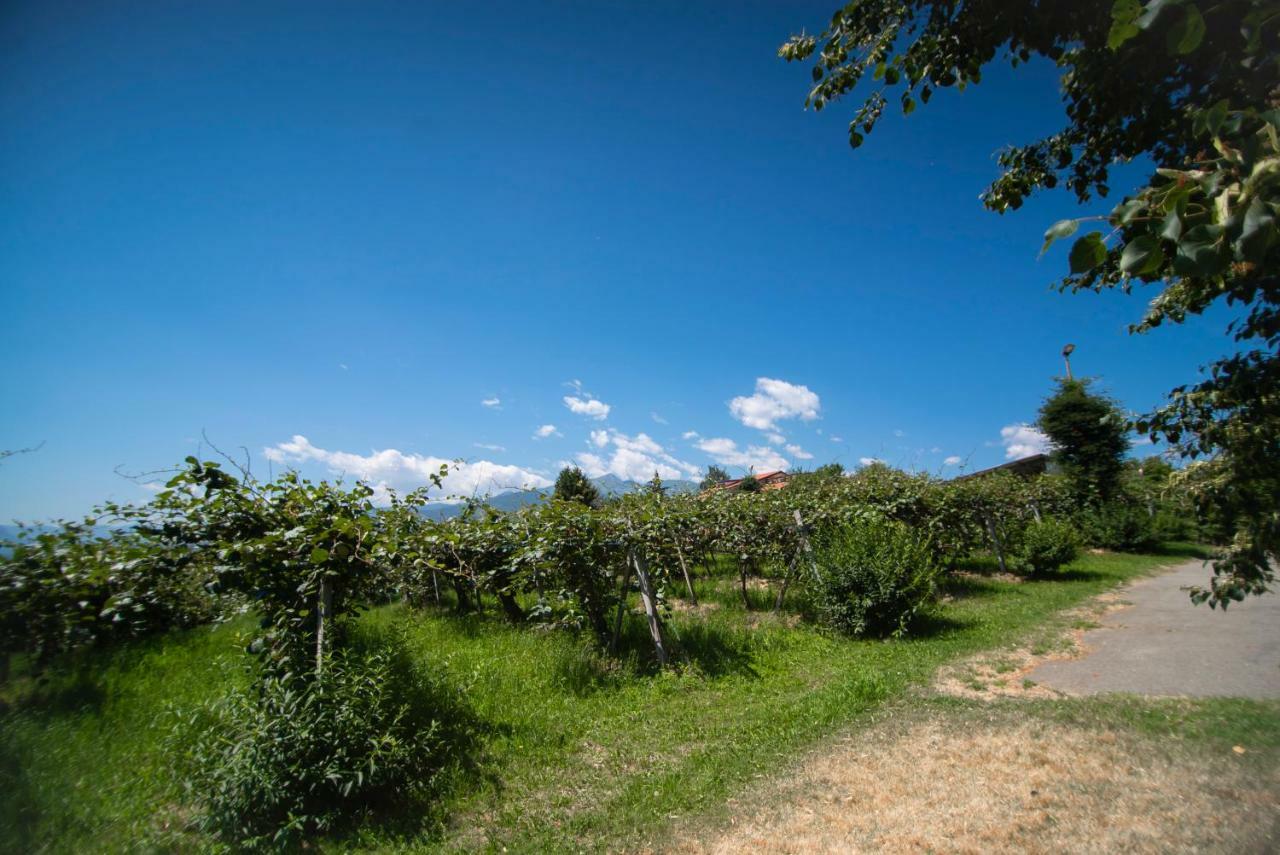 Agriturismo Turina Bricherasio エクステリア 写真